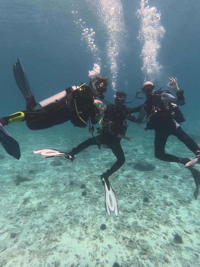 Muscat: Daymaniat Islands Try Scuba Diving - What certified participants can expect