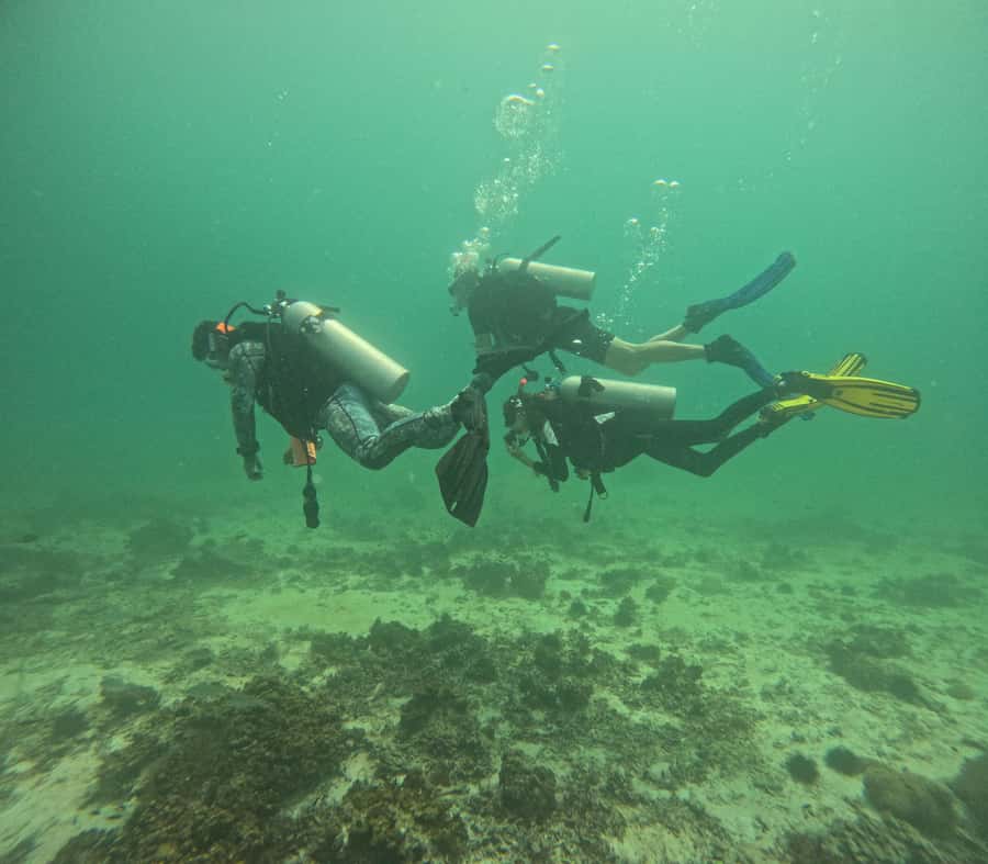 Muscat: Daymaniat Islands Try Scuba Diving - Meeting the boat at Seeb Port