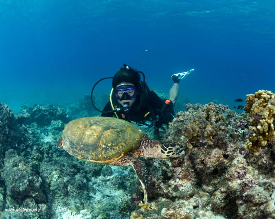 MUSCAT: Daymaniyat Island Snorkeling & Try-Dive + BBQ Lunch - The boat ride to the Daymaniyat Islands