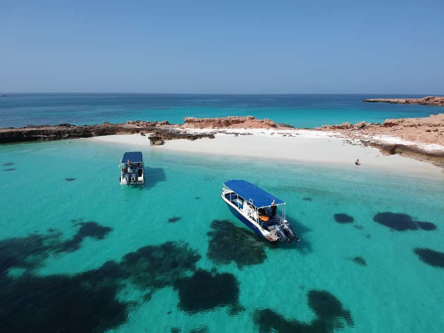 Muscat: Daymaniyat Island Snorkeling with Turtles Tour - Practical packing advice for Oman’s island waters
