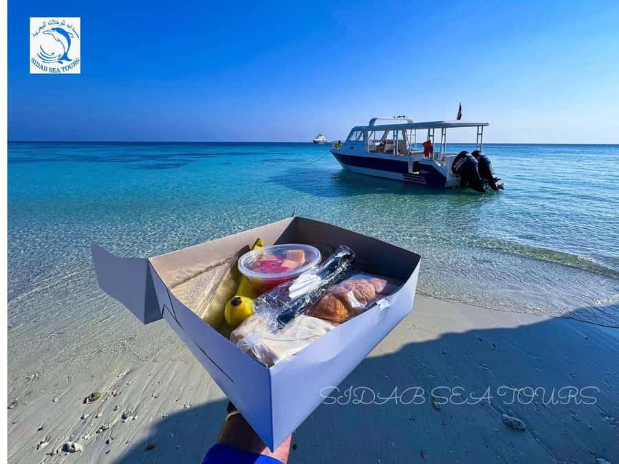 Muscat: Daymaniyat Island Snorkeling with Turtles Tour - Who should book this Daymaniyat trip?