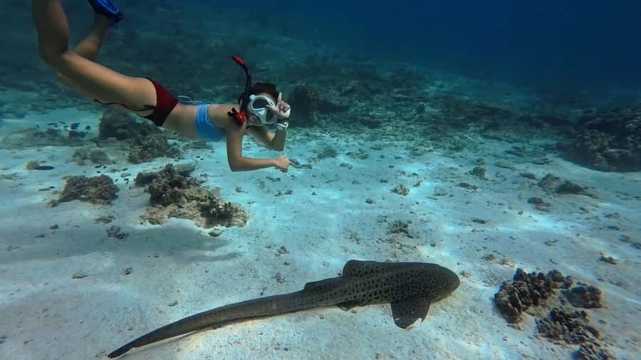 Muscat: Daymaniyat Islands Snorkeling Tour - Reaching the Daymaniyat Islands from Seeb Port