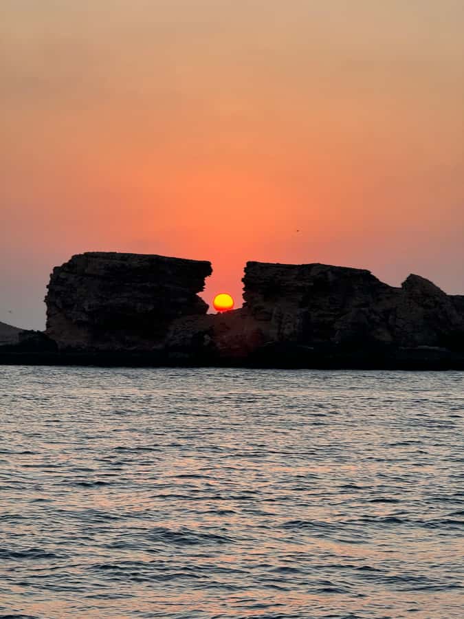Muscat: Daymaniyat Islands Snorkeling Tour - Sandwiches, watermelon, and what is included
