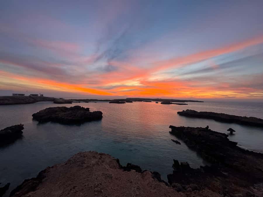 Muscat: Daymaniyat Islands Snorkeling Tour - Booking, cancellation, and timing advice