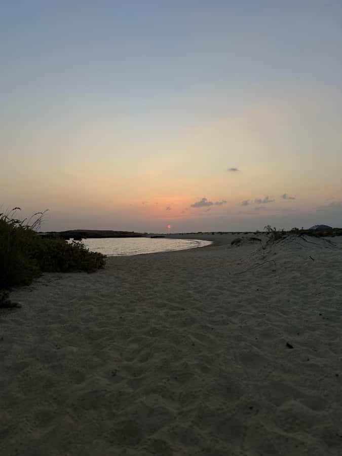 Muscat: Daymaniyat Islands Snorkeling Tour - What happens during the four-hour trip