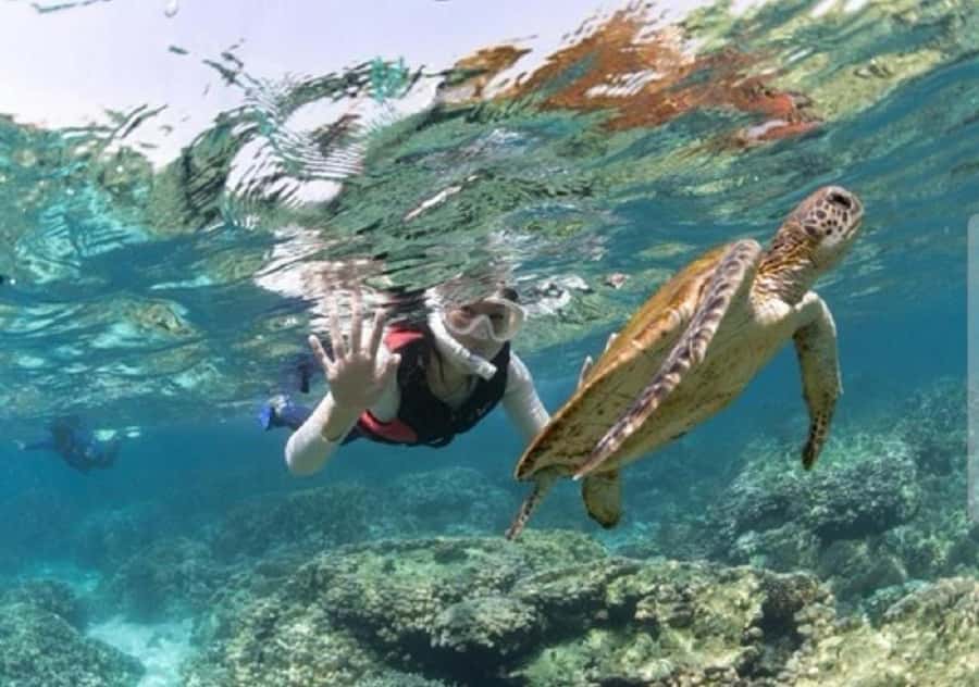 Muscat: Daymaniyat Islands Snorkeling Trip with BBQ Lunch - Key points to know before you book