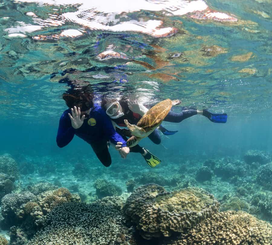 Muscat: Daymaniyat Islands Snorkeling Trip with BBQ Lunch - First snorkel stop: turtles and coral