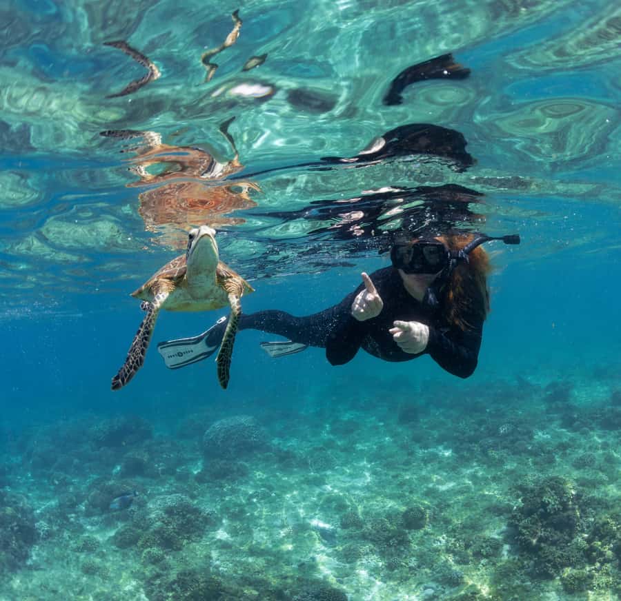 Muscat: Daymaniyat Islands Snorkeling Trip with BBQ Lunch - Second snorkel site and more marine life