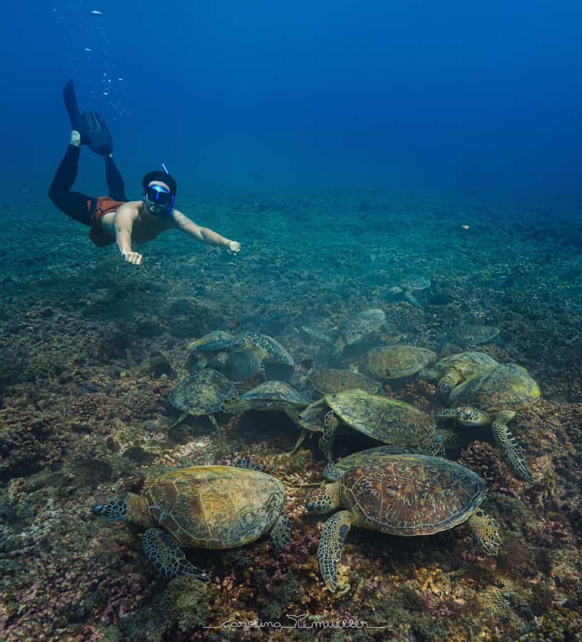 Muscat: Daymaniyat Islands Snorkeling Trip with BBQ Lunch - Starting at Al Mouj Marina