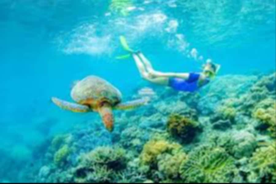 Muscat: Daymaniyat Islands Snorkeling Trip with Lunch - Several swim stops instead of one quick look