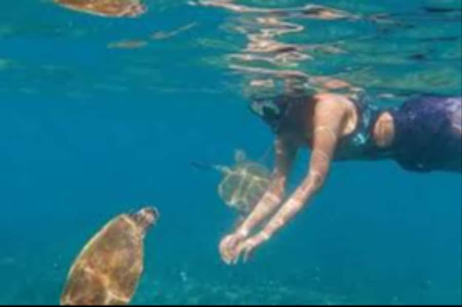 Muscat: Daymaniyat Islands Snorkeling Trip with Lunch - Shade, snacks, and a simple boat lunch