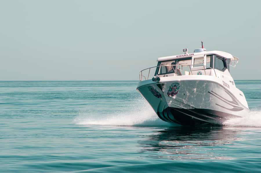 Muscat: Daymaniyat Islands Snorkeling Trip with QTours - Snorkeling among fish, turtles, rays, and coral