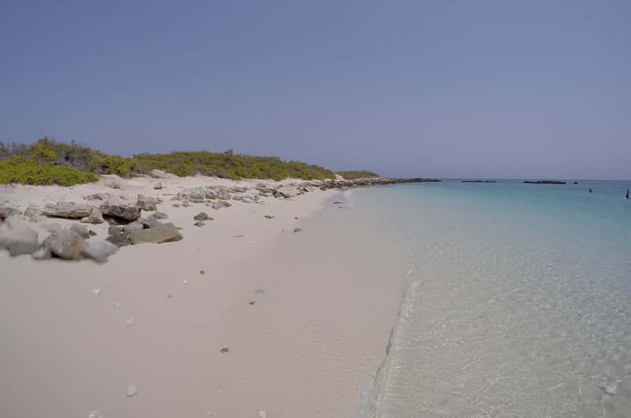 Muscat: Daymaniyat Islands Snorkeling Trip with QTours - What makes the Daymaniyat Islands special