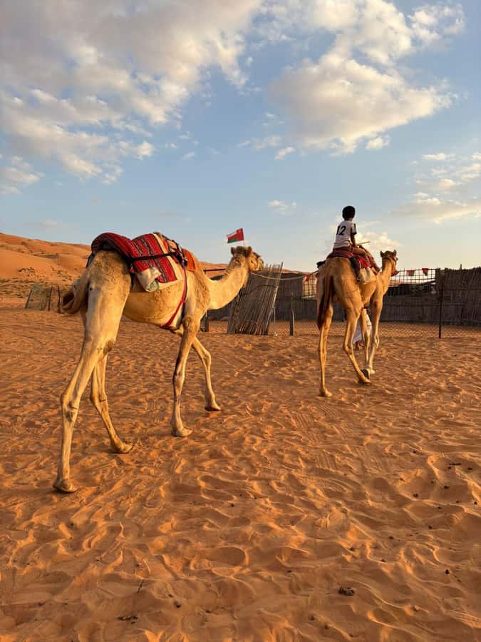 Muscat: Desert Sunset &Wadi Bnai Khalid Full-Day Tour+Lunch - Key points to know before booking