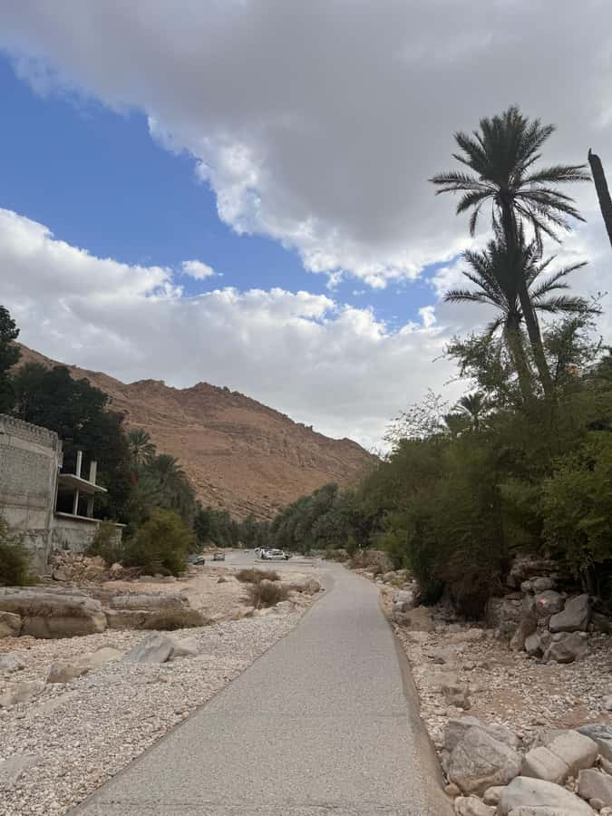 Muscat: Desert Sunset &Wadi Bnai Khalid Full-Day Tour+Lunch - The Wahiba Desert is about light, silence, and scale