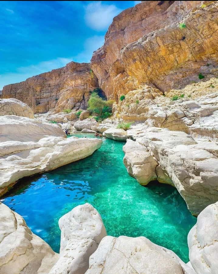 Muscat: Desert Sunset &Wadi Bnai Khalid Full-Day Tour+Lunch - Practical tips for a smoother day