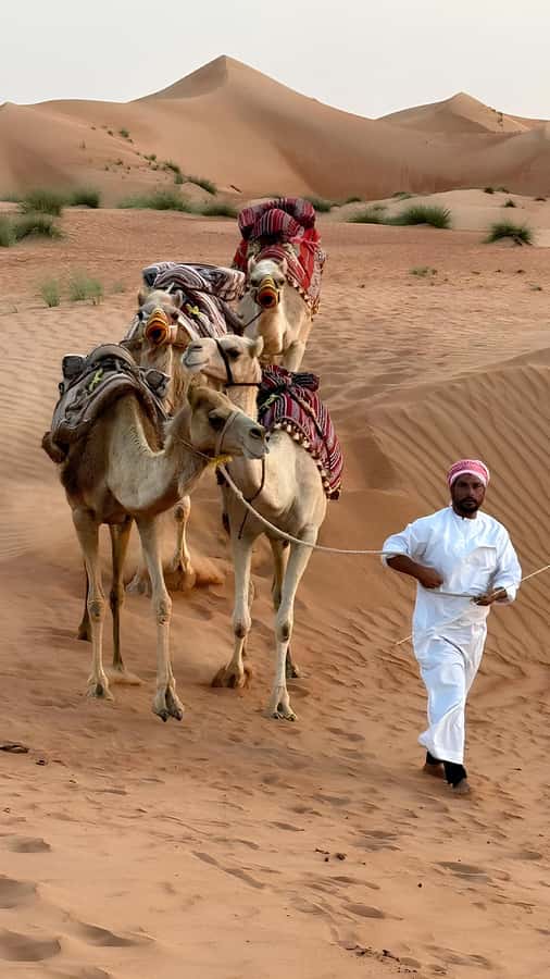 Muscat: Desert & Wadi Bani Khalid Tour with Quad Bike Option - Quad biking across Wahiba Sands