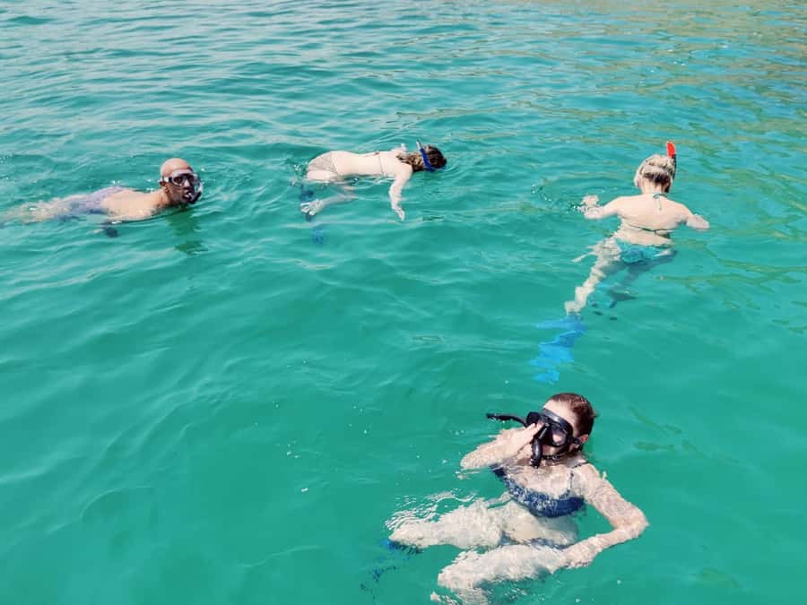 Muscat: Dolphin Watch & Snorkel Excursion - Timing, cancellations, and weather