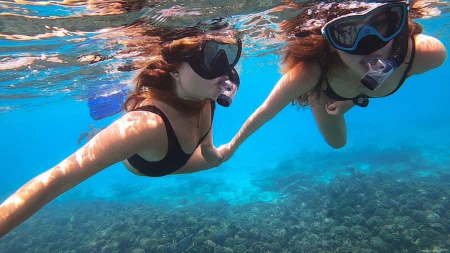 Muscat: Dolphin Watch & Snorkel Excursion - My honest verdict on Sidab Sea Tours