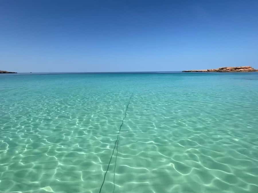 Muscat: Dolphin Watch & Snorkeling - Key points to know before booking