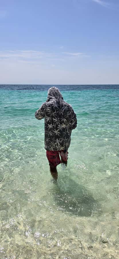 Muscat: Dolphin Watch & Snorkeling - The snorkeling stop: turtles, fish, and changing water quality