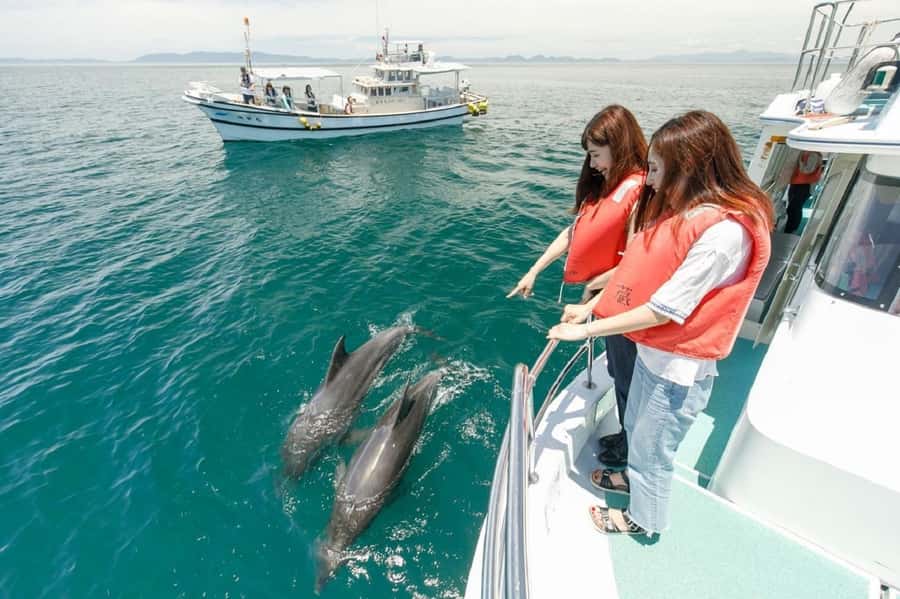 Muscat: Dolphin Watching and Snorkeling Tour - Why this Muscat boat trip earns its place in your day