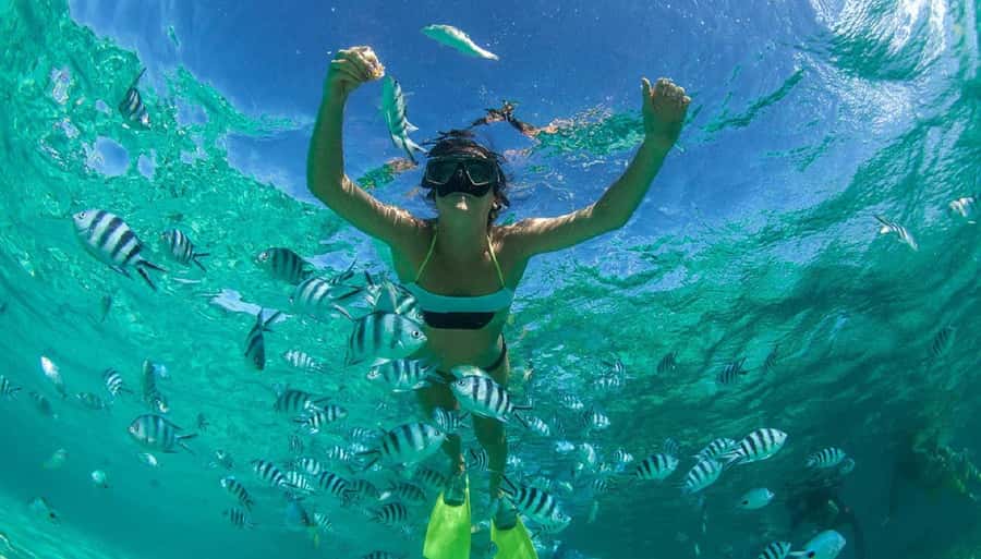 Muscat: Dolphin Watching and Snorkeling Tour - Practical ways to enjoy the four hours