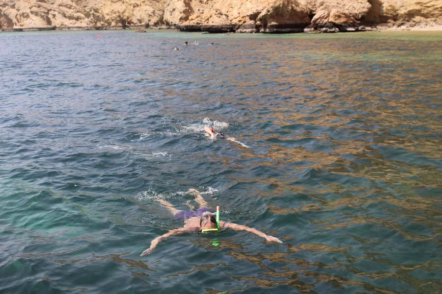 Muscat: Dolphin Watching and Snorkeling Tour By Speed Boat - Key points to know before booking