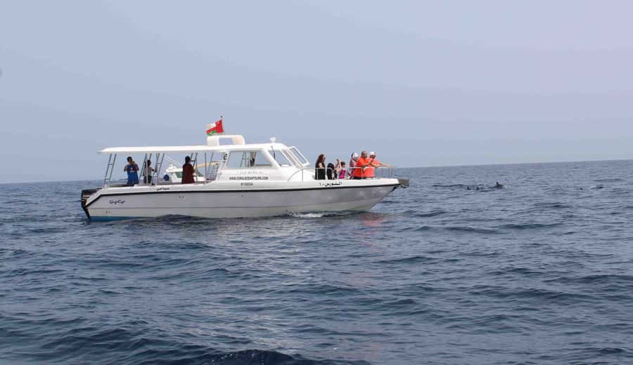 Muscat: Dolphin Watching and Snorkeling Tour By Speed Boat - At least one hour in clear snorkeling water