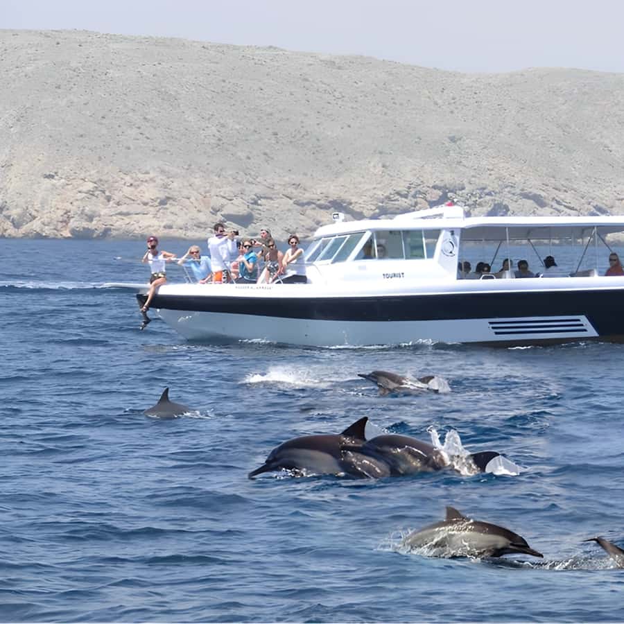 Muscat: Dolphin Watching and Snorkeling Trip - Final verdict: a good-value morning on Muscat’s coast