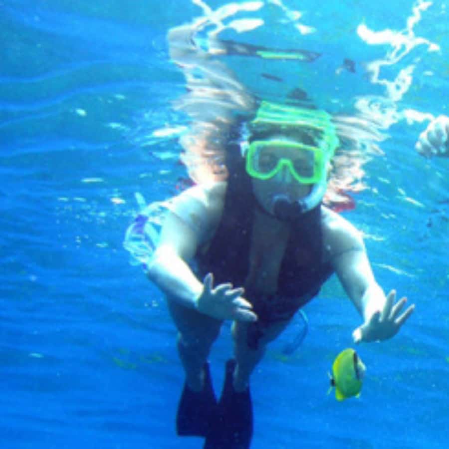 Muscat: Dolphin Watching and Snorkeling Trip - FAQ