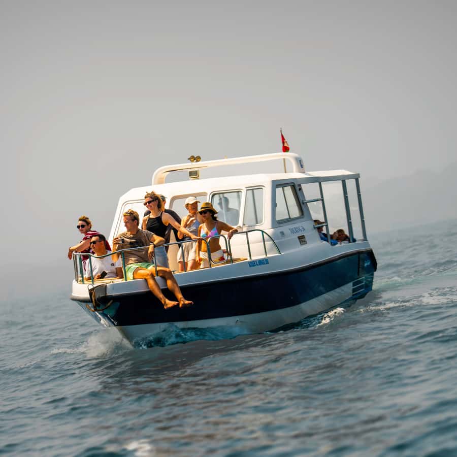 Muscat: Dolphin Watching and Snorkeling Trip - The first two hours: watching dolphins offshore