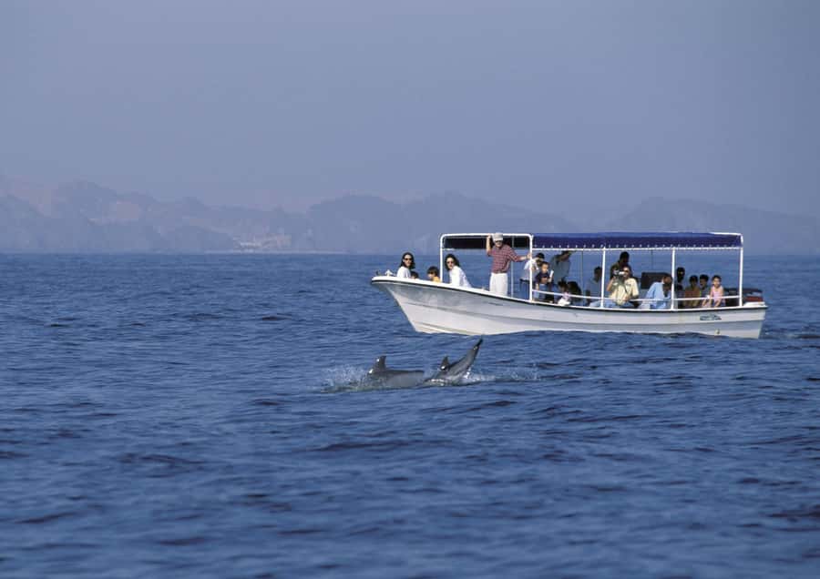 Muscat: Dolphin Watching Boat Amazing Trip - Drinks, snacks, and onboard comfort