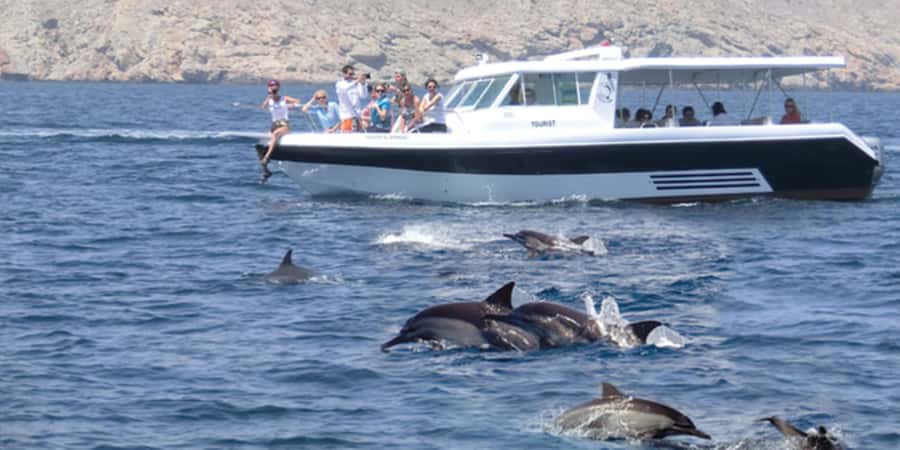 Muscat: Dolphin Watching Boat Tour - Leaving Marina Bandar Al Rowdha