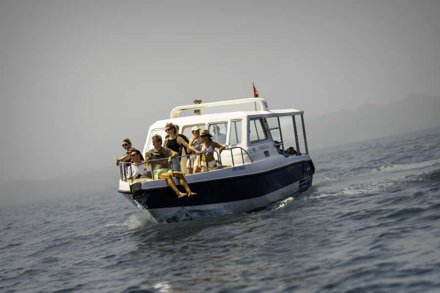 Muscat: Dolphin Watching Boat Trip with Snacks & Local Guide - Key Points Before You Book