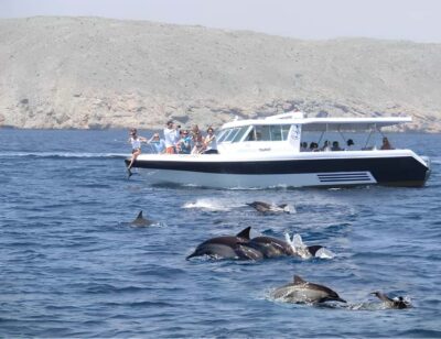 Dolphin Watching Boat Trip with Snacks & Local Guide