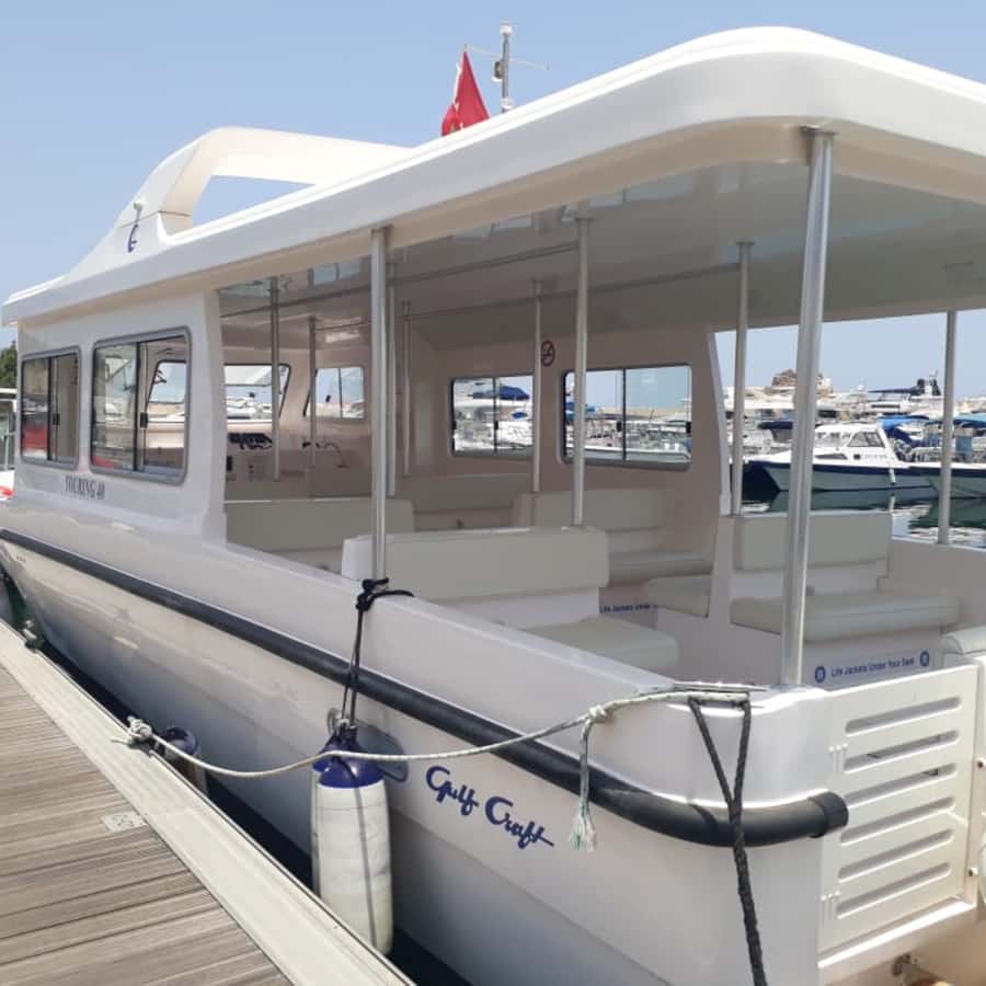 Muscat: Dolphin Watching Boat Trip with Snacks & Local Guide - Why the Morning Departures Are Worth Considering