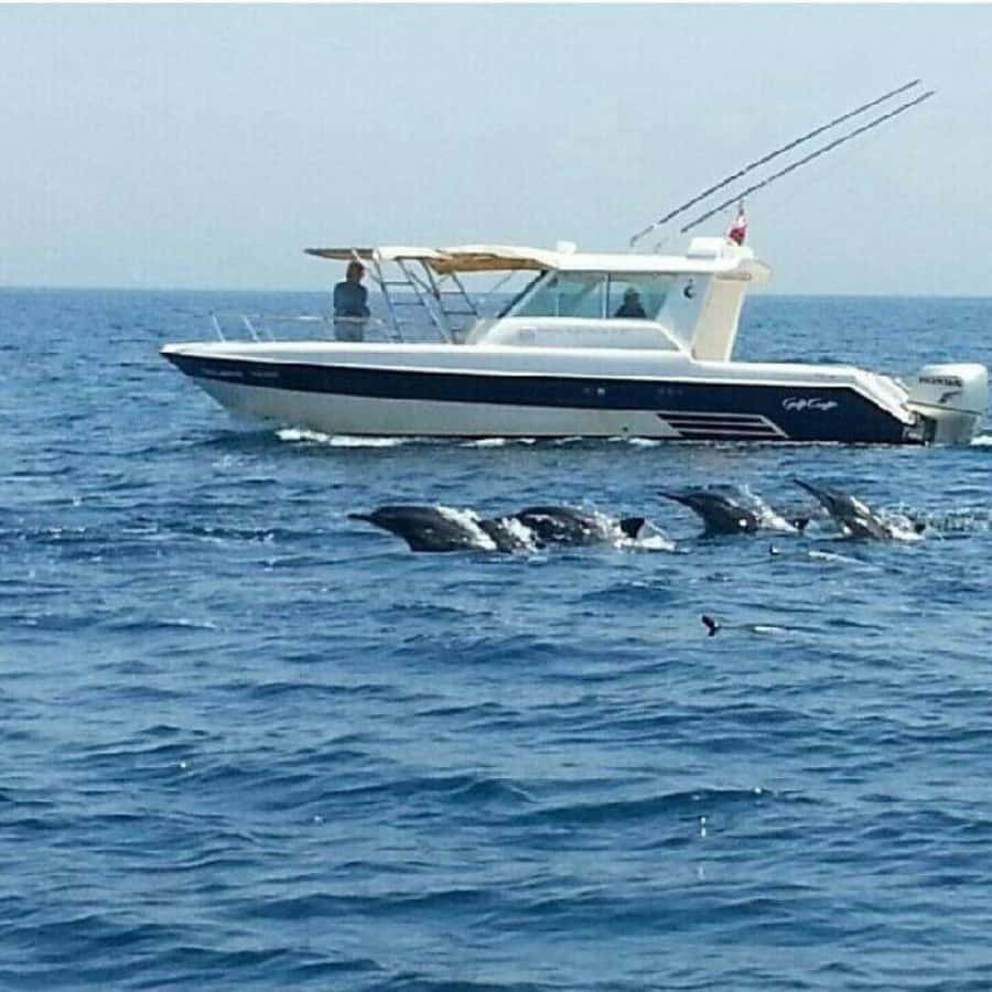Muscat: Dolphin Watching Boat Trip with Snacks & Local Guide - The Boat, Seating, and Comfort
