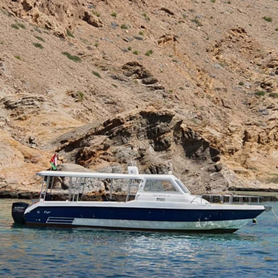 Muscat: Dolphin Watching Boat Trip with Snacks & Local Guide - Is $60 Good Value?