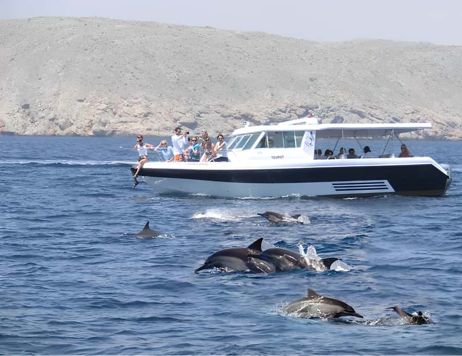 Muscat: Dolphin Watching Boat Trip with Snacks & Local Guide - Searching the Omani Sea for Dolphins