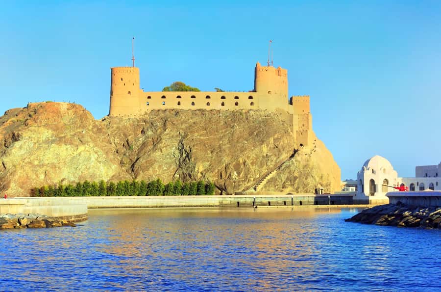 Muscat Dolphin Watching & Coastal Sightseeing Tour - What a successful dolphin sighting feels like