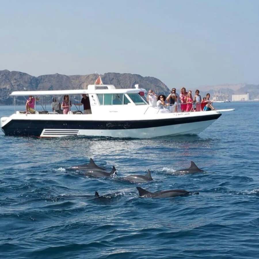 Muscat Dolphin Watching & Coastal Sightseeing Tour - The van ride through Muscat