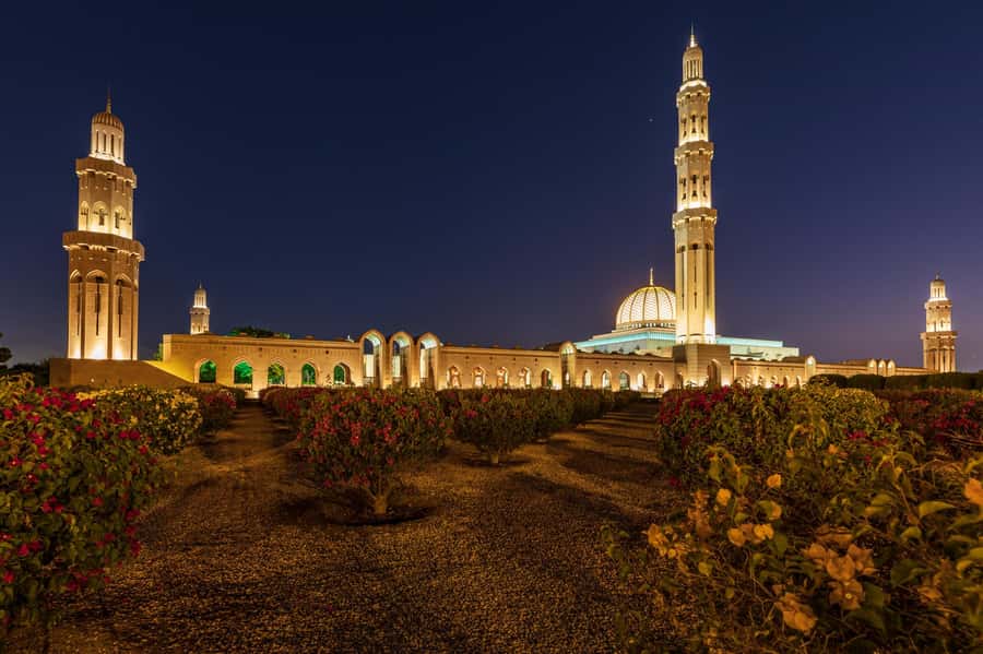 Muscat: Evening Guided City Highlights Tour by Van - Sultan Qaboos Grand Mosque: a short but impressive first stop