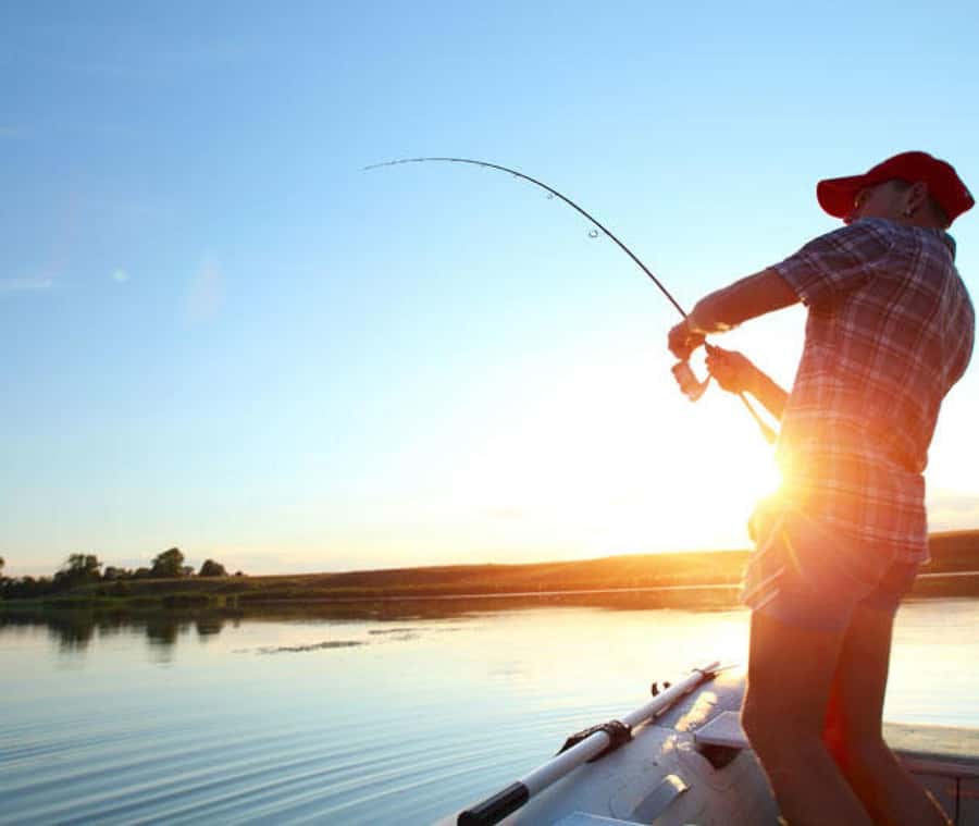 Muscat: Fishing Trip with Equipments - The semi-shaded speedboat and private setup