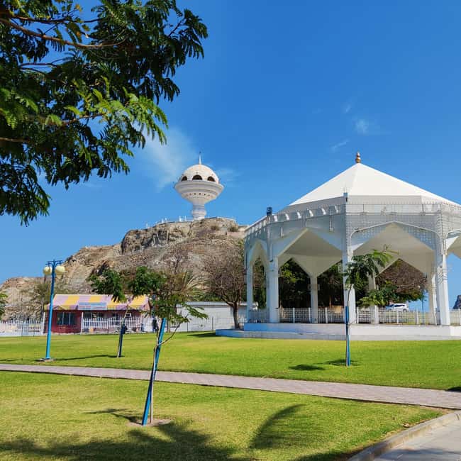 Muscat: Full-Day Private City Tour by luxury Car with Guide - Driving through the ministries and Royal Opera House area