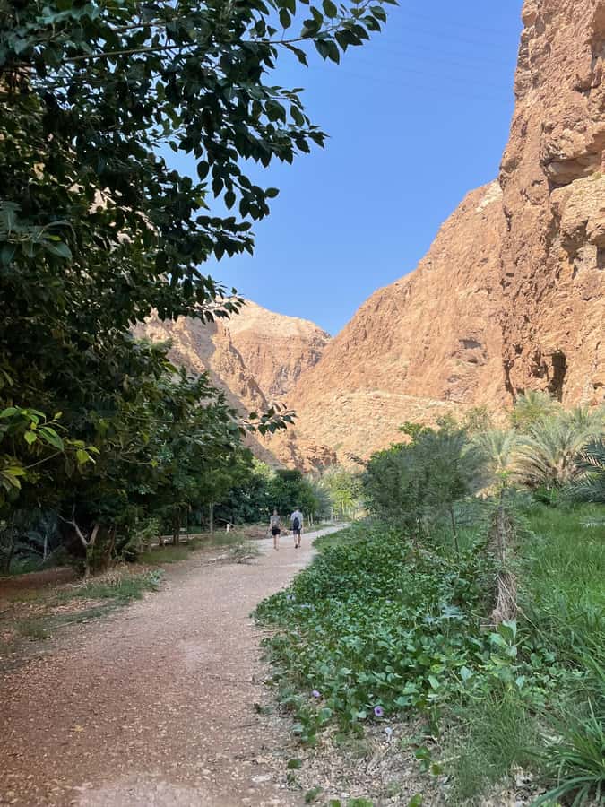 Muscat: Full-Day Wadi Shab & Bimmah Sinkhole Private Tour - Timing, heat, and the shape of the day