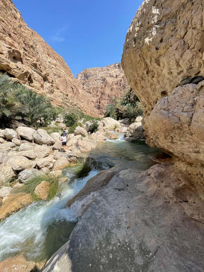 Muscat: Full-Day Wadi Shab & Bimmah Sinkhole Private Tour - What the 4.9 rating tells you