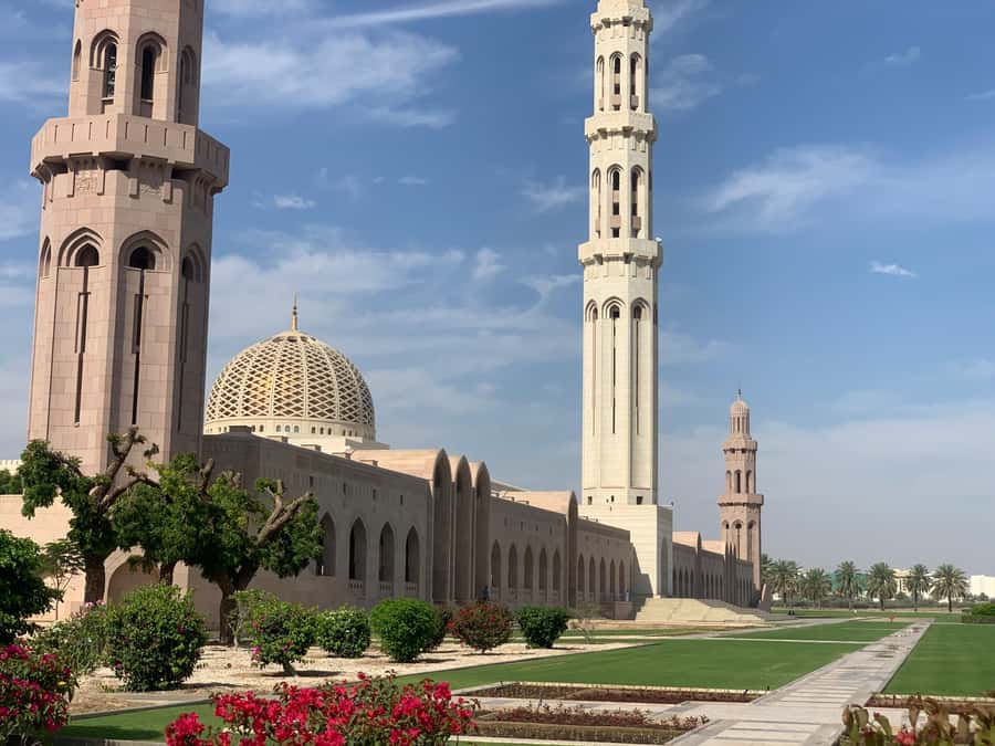 Muscat: Group City Tour with Pickup and Lunch or Dinner - What this Muscat tour is really designed to do