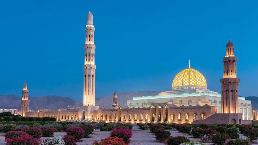 Muscat: Group City Tour with Pickup and Lunch or Dinner - Modern Muscat around the Opera House