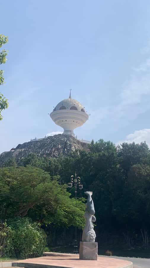 Muscat: Group City Tour with Pickup and Lunch or Dinner - Timing, vehicles, and group size
